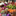 bloemen