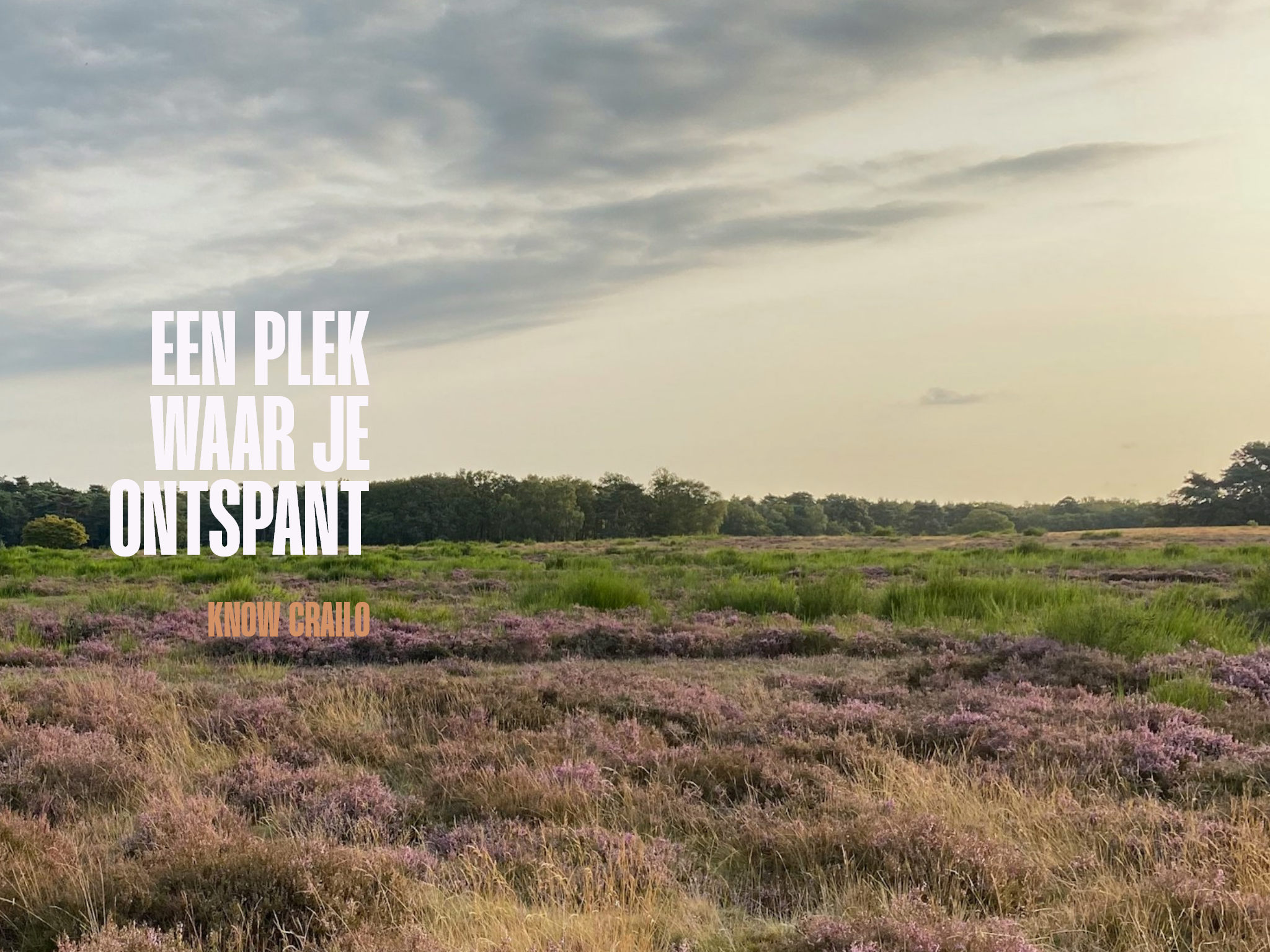 Wonen in het groen, leven in verbinding